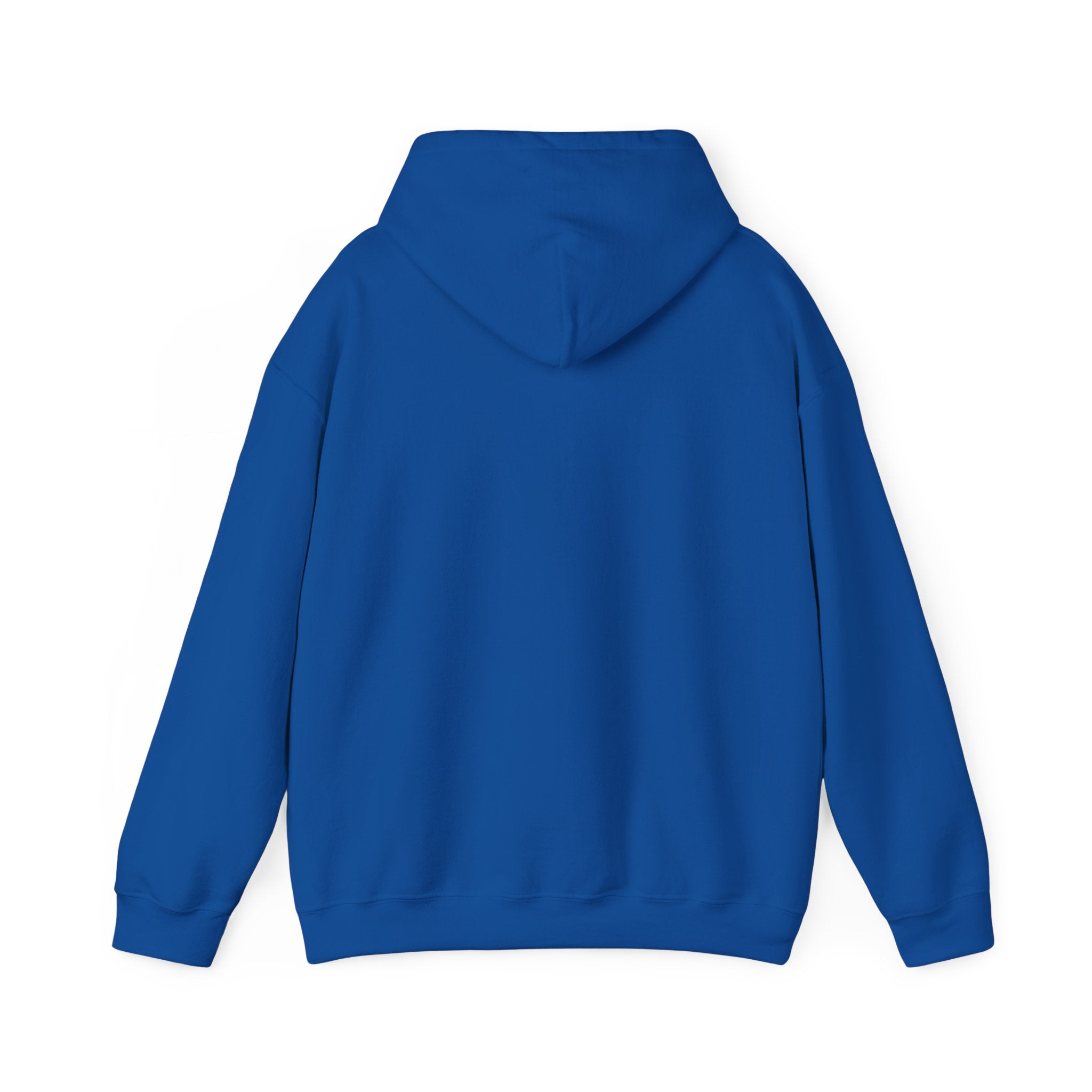 warm sweater vibe Cozy Fleece Hoodie