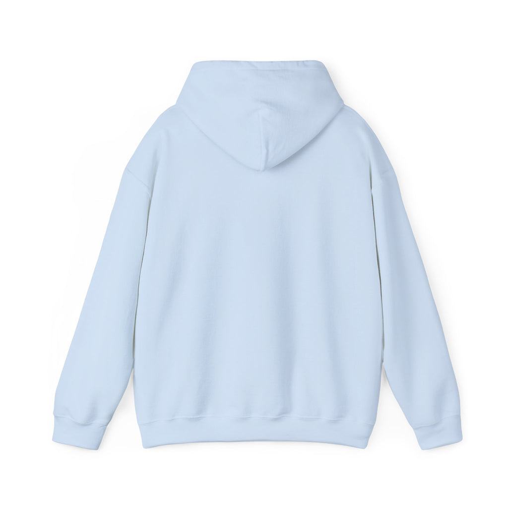 cozy loungewear Cozy Fleece Hoodie